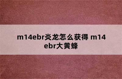 m14ebr炎龙怎么获得 m14ebr大黄蜂